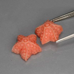Pedras preciosas de coral rosa natural de  ct, forma extravagante, opaco