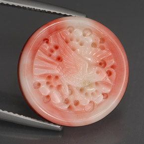 Coral multicolorido natural 12,80ct, forma extravagante, opaco