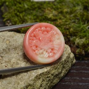 Coral multicolorido natural 12,62ct, forma extravagante, opaco