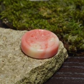 Coral multicolorido natural 12,62ct, forma extravagante, opaco