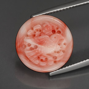 Coral multicolorido natural 9,20ct, forma extravagante, opaco