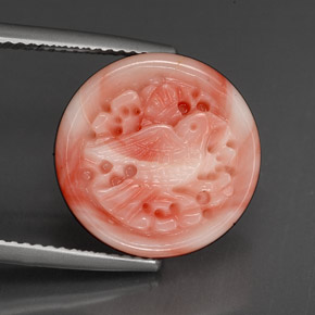 Coral multicolorido natural 9,20ct, forma extravagante, opaco