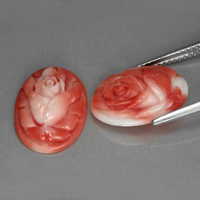 Pedras preciosas de coral rosa natural de  ct, forma extravagante, opaco