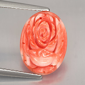 Coral rosa natural 2,36ct, forma extravagante, opaco