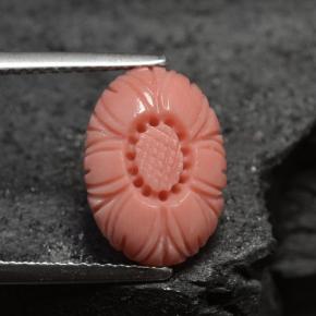 Coral rosa natural 3,66ct, forma extravagante, opaco
