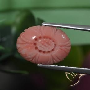 Coral Tom Rosa Avermelhado Natural 3.19ct, Flor cortada, Opaco