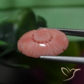 Coral Tom Rosa Avermelhado Natural 3.19ct, Flor cortada, Opaco