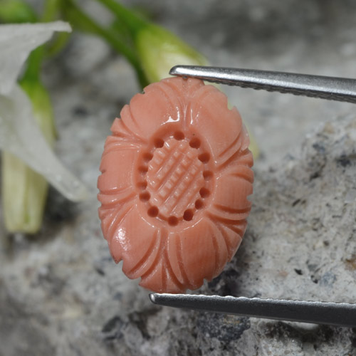 Coral rosa natural 2,80ct, corte flor, opaco