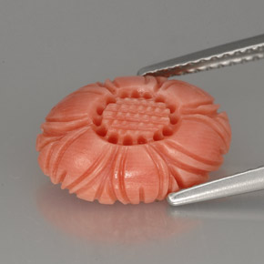 Coral rosa natural 3,24ct, forma extravagante, opaco