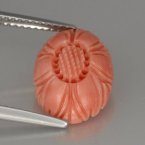 Coral rosa natural 3,24ct, forma extravagante, opaco