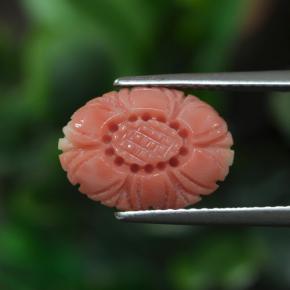 Coral rosa natural 3,00ct, corte flor, opaco