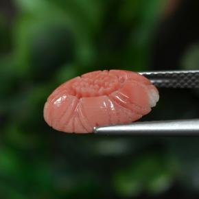 Coral rosa natural 3,00ct, corte flor, opaco