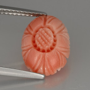 Coral rosa natural 2,52ct, corte flor, opaco