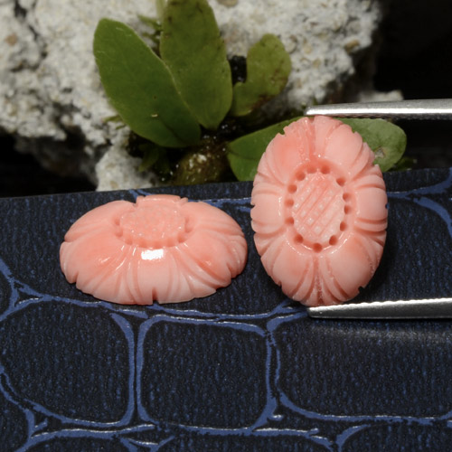 Pedras preciosas de coral rosa natural de 7,41 ct, corte flor, opaco