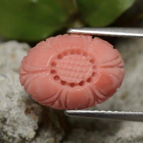 Coral vermelho natural 3,67ct, corte flor, opaco
