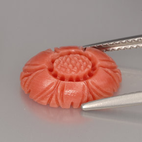 Coral rosa natural 3,32ct, forma extravagante, opaco
