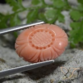 Coral Pêssego Rosa Rosa Natural 4.11ct, Flor cortada, Opaco