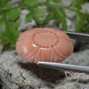 Coral Pêssego Rosa Rosa Natural 4.11ct, Flor cortada, Opaco