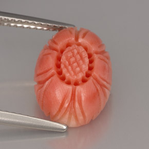 Coral rosa natural 4,16ct, forma extravagante, opaco