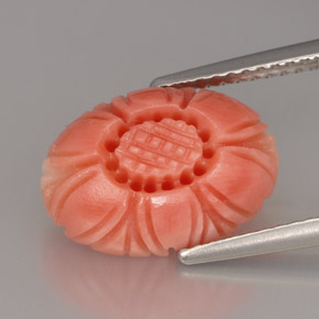 Coral rosa natural 4,16ct, forma extravagante, opaco