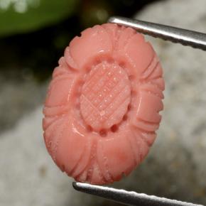 Coral vermelho natural 3,10ct, corte flor, opaco