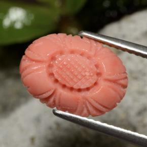 Coral vermelho natural 3,10ct, corte flor, opaco