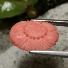 Coral vermelho natural 3,10ct, corte flor, opaco
