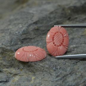 Pedras preciosas de coral rosa natural de  ct, forma extravagante, opaco