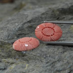 Pedras preciosas de coral rosa natural de  ct, forma extravagante, opaco