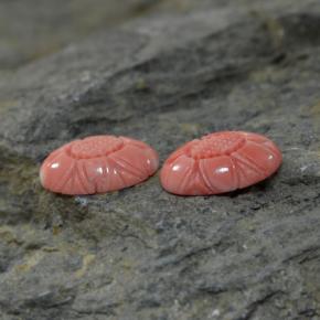 Pedras preciosas de coral rosa natural de  ct, forma extravagante, opaco
