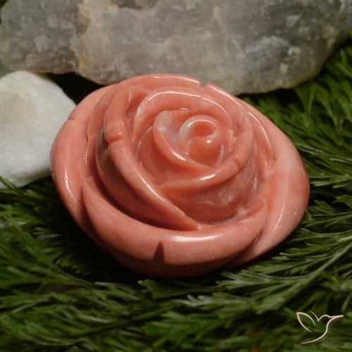Coral rosa médio Natural 31.12ct, Flor cortada, Opaco