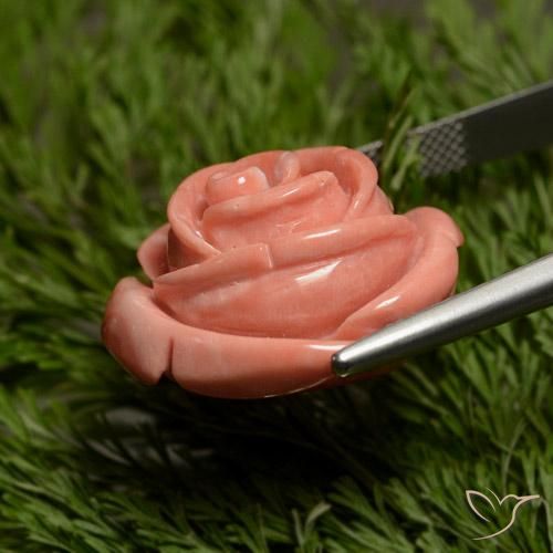 Coral rosa médio Natural 31.12ct, Flor cortada, Opaco