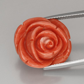 Coral rosa natural 22,75ct, forma extravagante, opaco