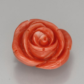 Coral rosa natural 22,75ct, forma extravagante, opaco