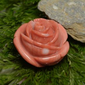 Coral rosa natural 23,75ct, forma extravagante, opaco