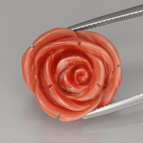 Coral rosa natural 21,52ct, forma extravagante, opaco