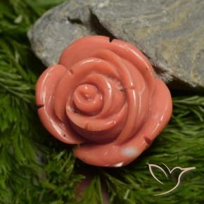 Coral Rosa Salmão Profundo Natural 18.78ct, Chique, Opaco