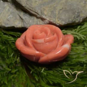 Coral Rosa Salmão Profundo Natural 18.78ct, Chique, Opaco