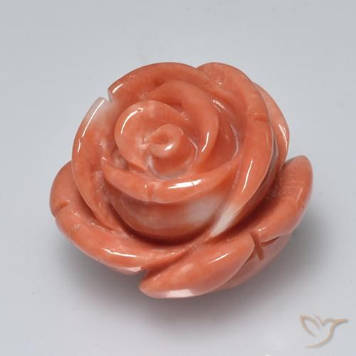 Coral rosa médio Natural 19.58ct, Flor cortada, Opaco