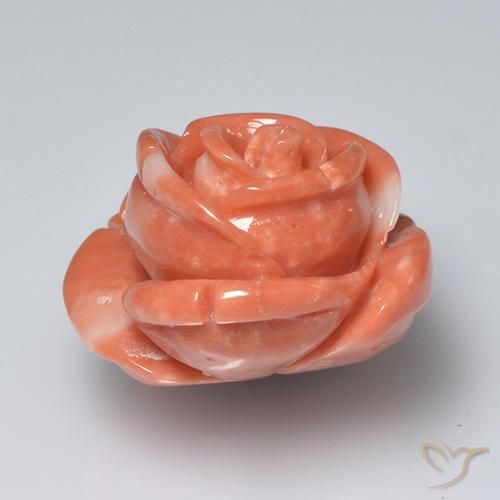 Coral rosa médio Natural 19.58ct, Flor cortada, Opaco