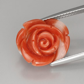 Coral rosa natural 10,33ct, forma extravagante, opaco