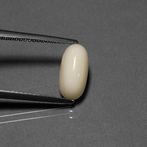 Coral creme natural 2,21ct, corte oval, opaco