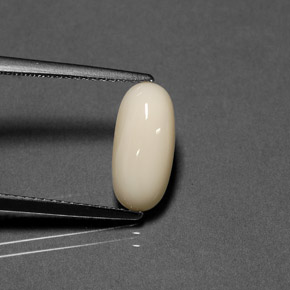 Coral branco natural 2,41ct, corte oval, opaco