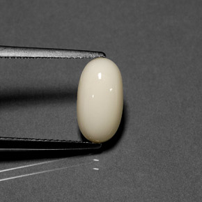 Coral Branco Natural 2.23ct, Corte Oval, Opaco