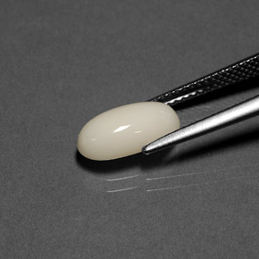 Coral Branco Natural 2.23ct, Corte Oval, Opaco