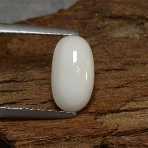 Coral Branco acinzentado claro Natural 2.27ct, Corte Oval, Opaco