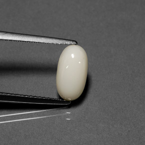 Coral branco natural 1,84ct, corte oval, opaco