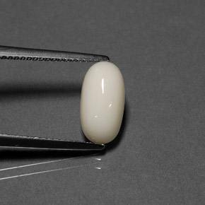 Coral branco natural 2,02ct, corte oval, opaco