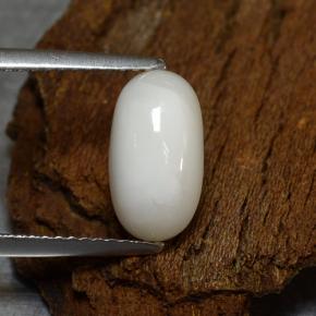 Coral branco natural 2,39ct, corte oval, opaco