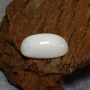 Coral branco natural 2,39ct, corte oval, opaco